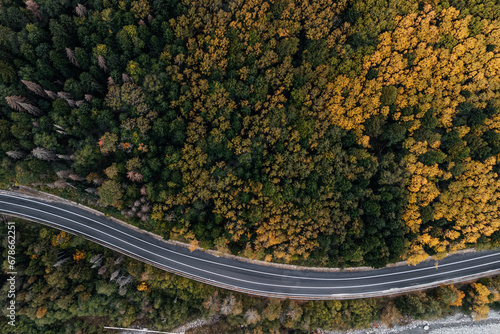 winding mountain road in the autumn forest