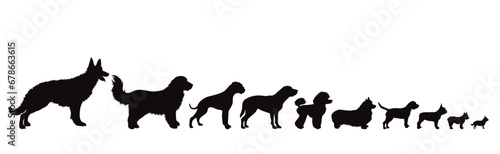 Vector silhouette of set of dogs on white background. Symbol of pet and dog.