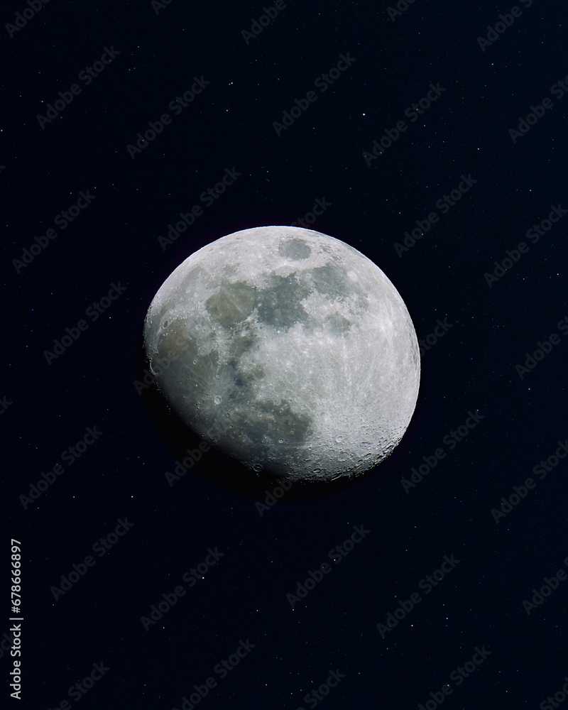 moon moon