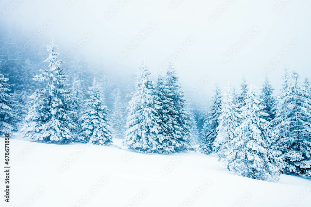 beautiful winter landscape with snowy fir trees in the mountains