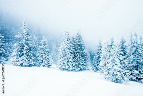 beautiful winter landscape with snowy fir trees in the mountains