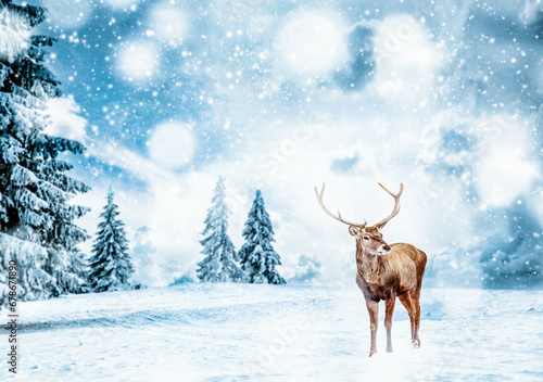 magical Christmas card with noble deer male in fairy tale winter landscape