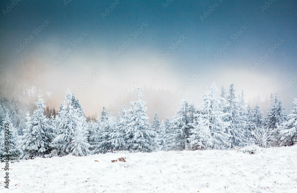 winter landscape with snowy fir trees in the mountains winter landscape with snowy fir trees in the mountains
