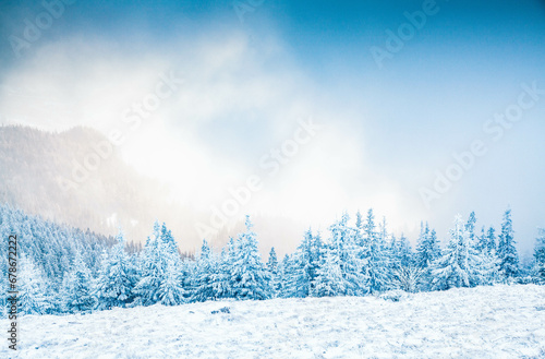 winter landscape with snowy fir trees in the mountains