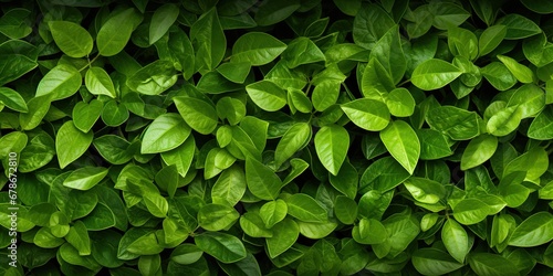 Enchanting Leafy Wonder s Tapestry, Generative AI photo