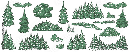 Forest of various forms. Set of pines and spruce for camping. Nature elements for outdoor adventure, wanderlust or explore. Forest tree collection.