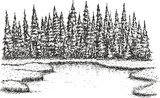 Beautiful forest lake or river with pine trees on shore in hand drawn sketch style. Panoramic rural landscape. Vector illustration nature.