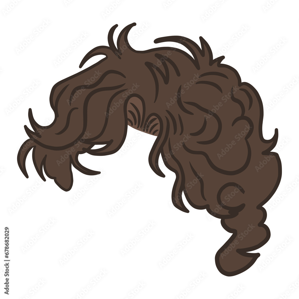 Fototapeta premium Curly Men Hairstyle