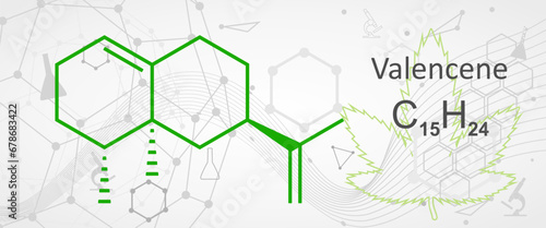 Valencene is a sesquiterpene that is an aroma component of citrus fruit and citrus-derived odorants. It is obtained inexpensively from Valencia oranges. Skeletal chemical formula.