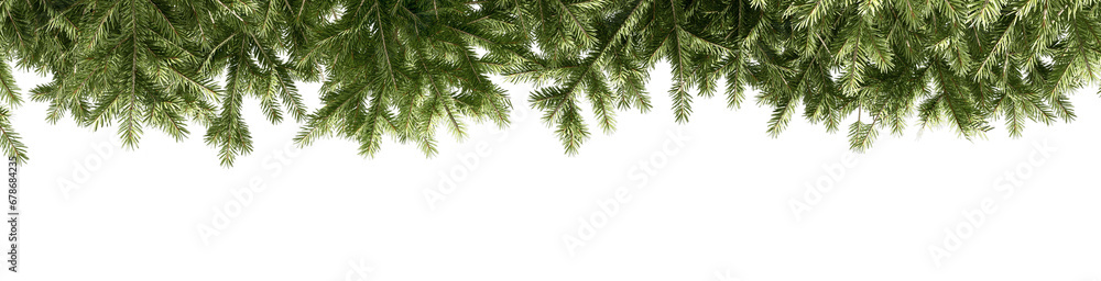 Christmas background with branches on white