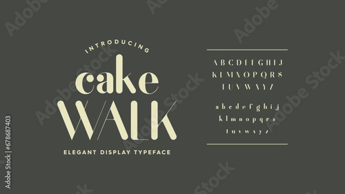 Rounded stylish typography collection. Classic modern alphabet display. Beauty and elegant typeface font design.