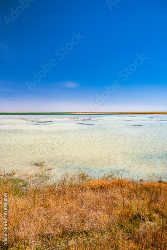 Lagoa no deserto do Atacama com c  u azul e muita vegeta    o ao redor. Lagoa Cejar na primavera de 2023.
