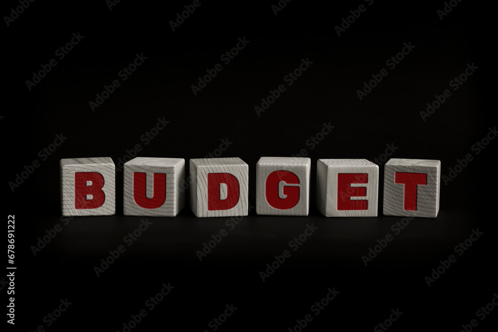 Obraz premium Word BUDGET written with wooden cubes. Studio shot of some arranged wooden blocks with a textual message.