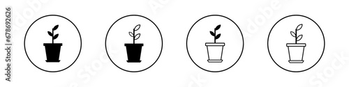 Houseplants illustration. Vector icon home plants, succulents in pot. Indoor exotic leaves.