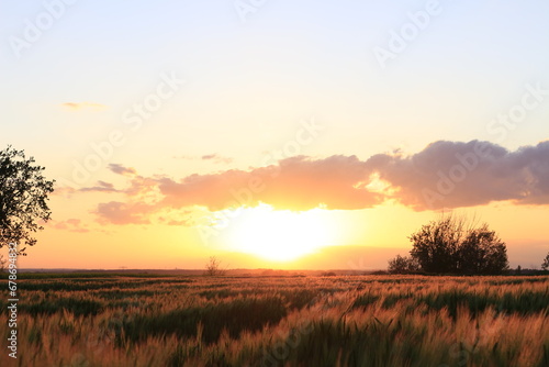 Sonnenuntergang mit Weizenfeld
