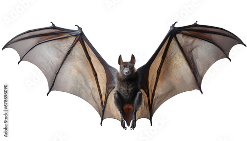 Bat isolated AI generative