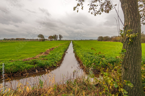Fototapeta Naklejka Na Ścianę i Meble -  Dutch polder landscape with ditch on a windless and rainy autumn day. The grassland becomes waterlogged due to the persistent rainfall and the drainage no longer drains the water properly.