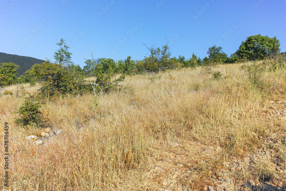 Summer Landscape of Rudina mountain, Bulgaria