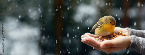 Delighted person feeding snow-covered birds in winter garden background with empty space for text 