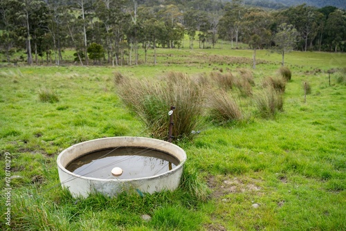 livestock water trough in a field on a cattle farm in Australia photo