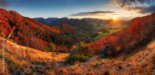 Autumn mountain panorama with red autum trees. © TTstudio