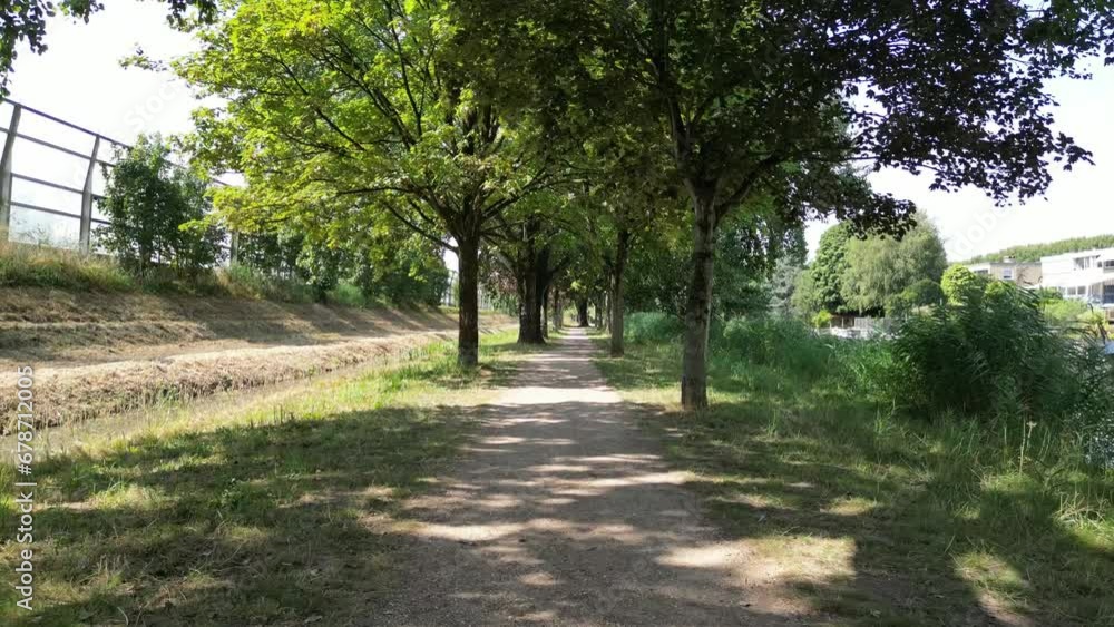 Strolling Along a Charming Path Amidst Trees in a Beautiful Park Strolling Along a Charming Path Amidst Trees in a Beautiful Park