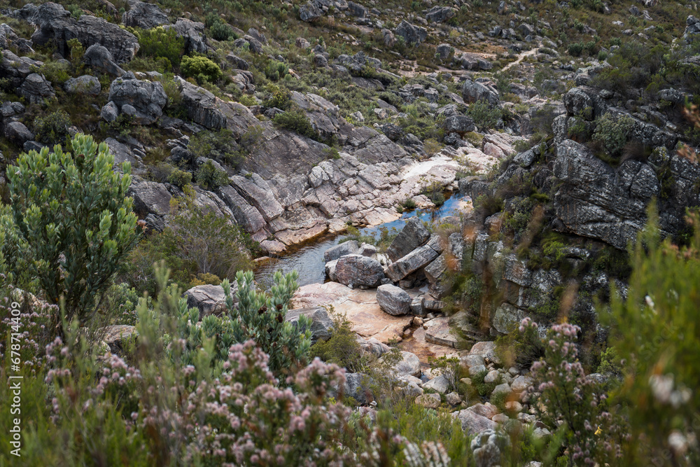 mountain river in the mountains