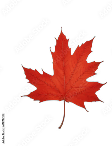 A piece of maple leaf on plain white background. from Generative AI