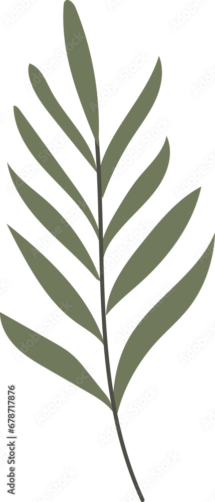 Plant illustration Plant illustration
