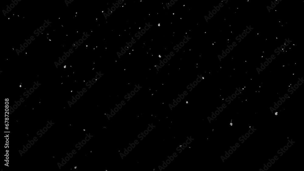 Falling snow. Animation background. Alpha channel Falling snow. Animation background. Alpha channel