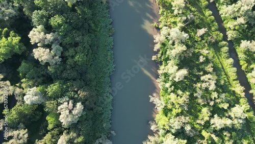 The Bird's-Eye View Following the River Flowing Through Trees in the Forest