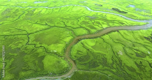 Florida Everglades wetland with water streams and green vegetation. Natural habitat of many subtropical species photo