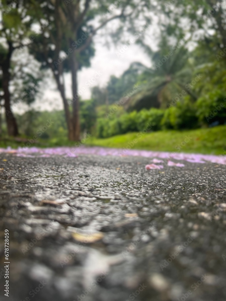 Blur picture of lowers fall on road for background Blur picture of lowers fall on road for background
