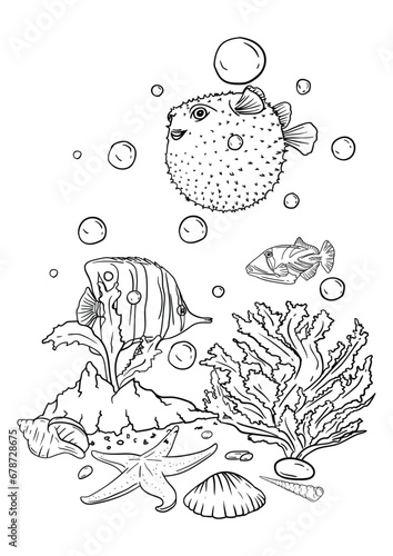  Vector illustration of a coloring book of the underwater world with beautiful fish, shells, algae in the sea