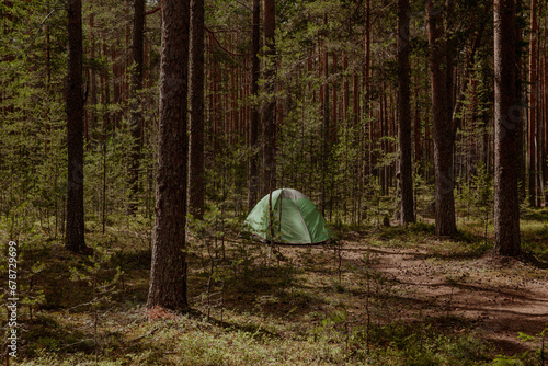 Tent for tourists in the pine forest in summer