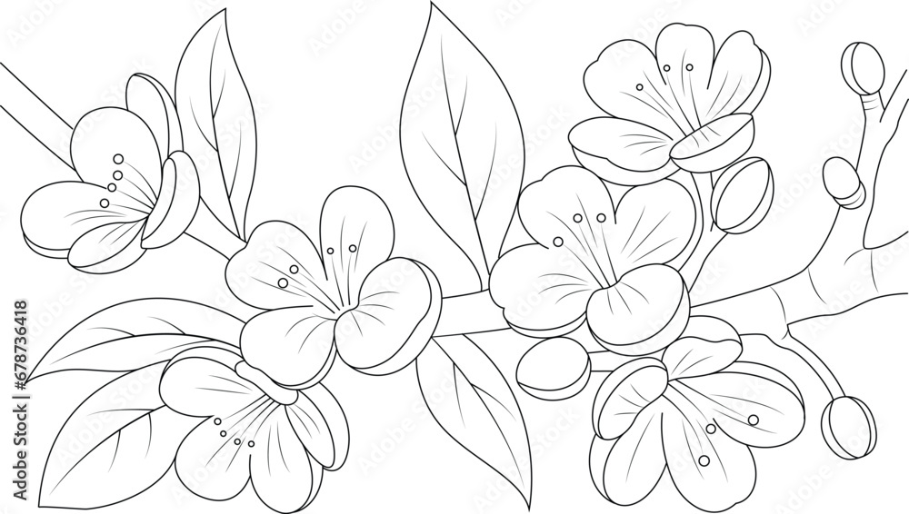 Coloring page of a peach blossom. Hand drawn flowers