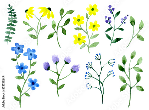 set of simple wildflowers. watercolor drawing of flowers.