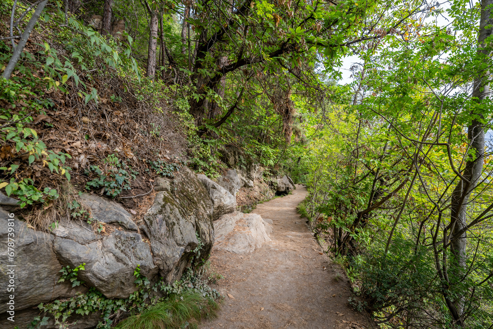 Fototapeta premium Algunder Waalweg - Meran - Südtirol - Italien