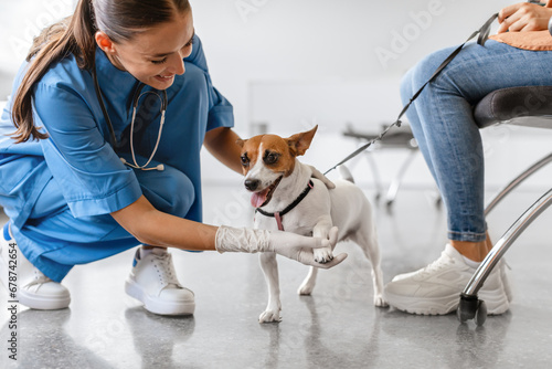 Vet examining a happy dog in clinic © Prostock-studio
