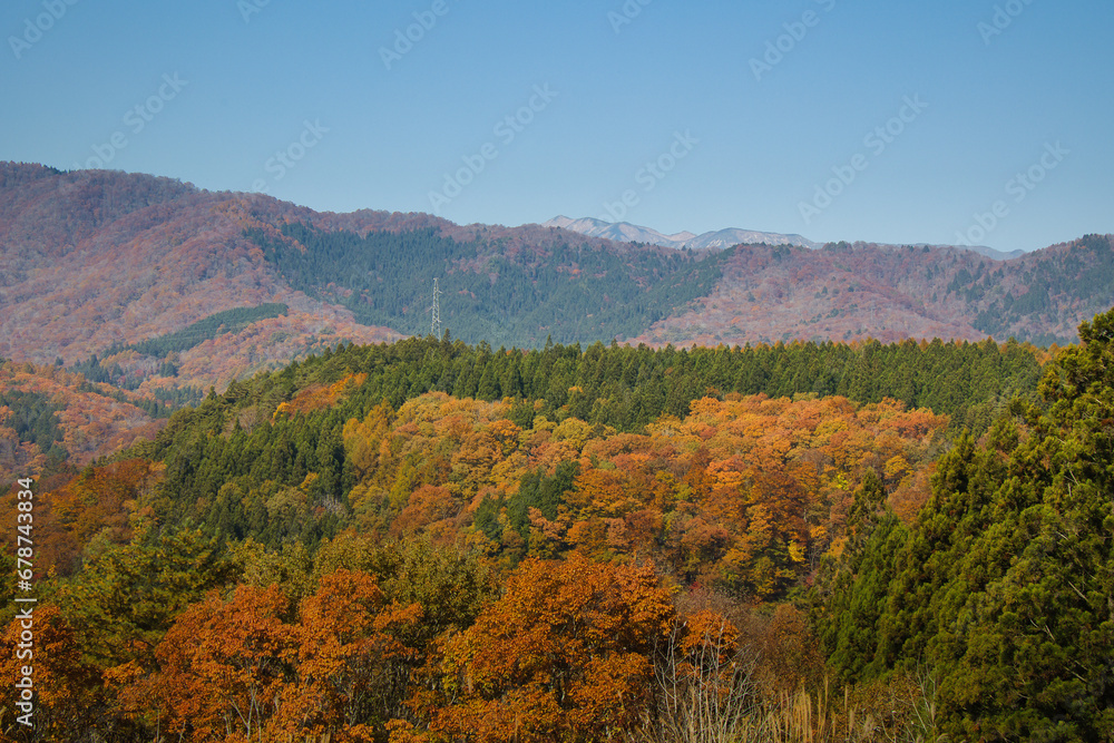11月のひるがの高原から見る色鮮やかに紅葉している綺麗な大日ヶ岳