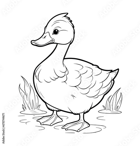 Duck in a water coloring page - coloring book
