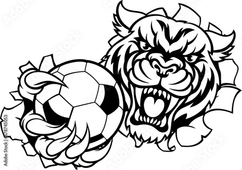 A tiger cat animal sports m...