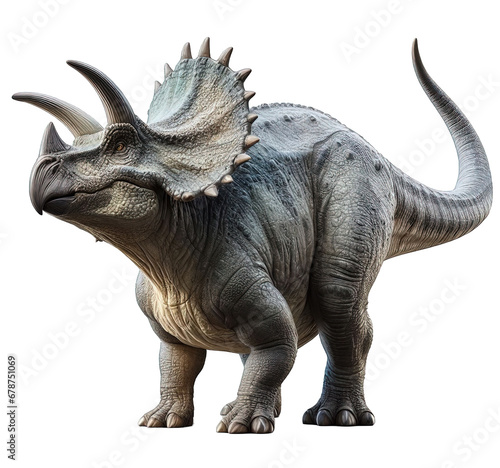 triceratops isolated on white
