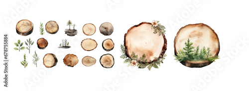 watercolor wood slice ornament set. Hand drawn isolated on transparent background.