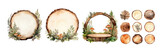 watercolor wood slice ornament set. Hand drawn isolated on transparent background.