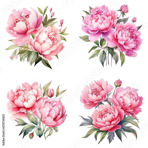 Watercolor pink flowers ornament set. Hand drawn isolated on transparent background.