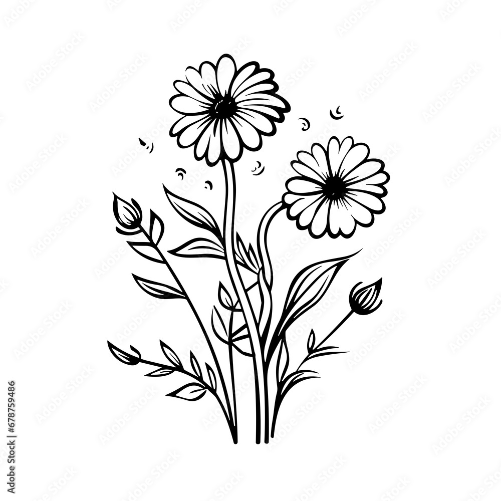 line drawing, line art png, line art prints, spring clipart, line art ...
