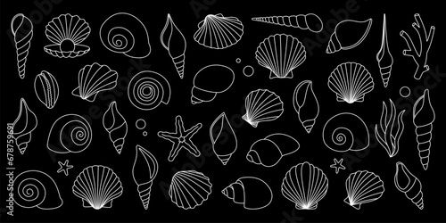 Underwater shells set. Tropical underwater shells. Freshwater algae, corals, starfish, sea mollusks, scallop, pearls. Vector illustration.