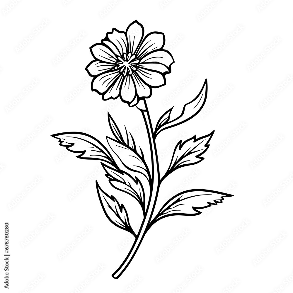 line drawing, line art png, line art prints, spring clipart, line art ...