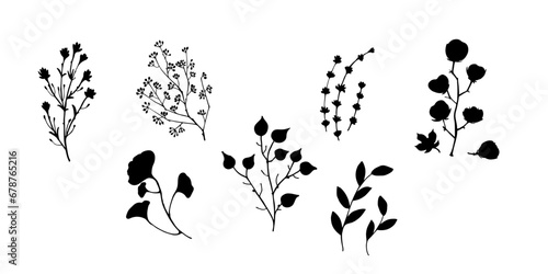 Black Vector Dry Herbs, Dried Flowers. Natural medicine illustration. Cotton, leaves and twigs